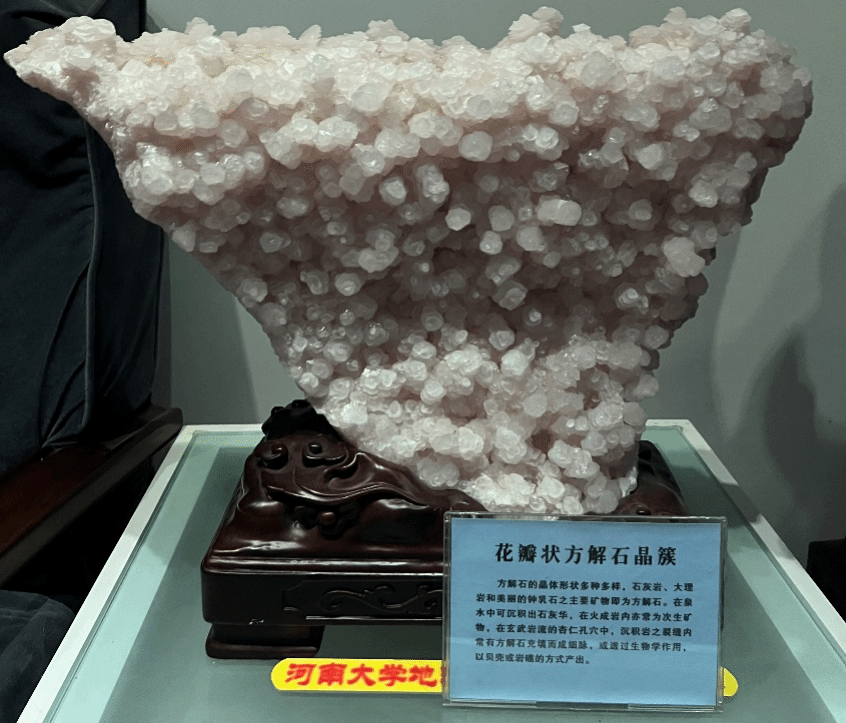 21点五龙