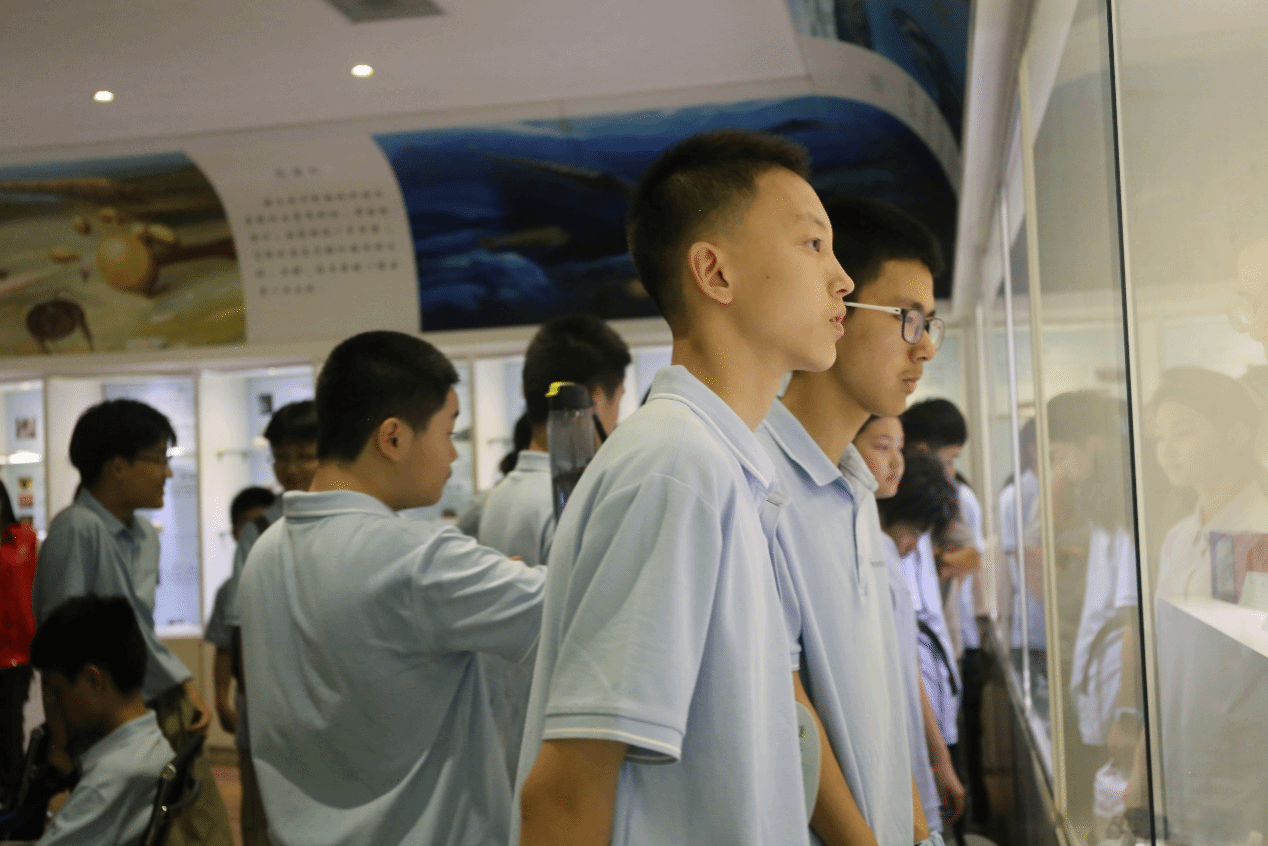 21点五龙