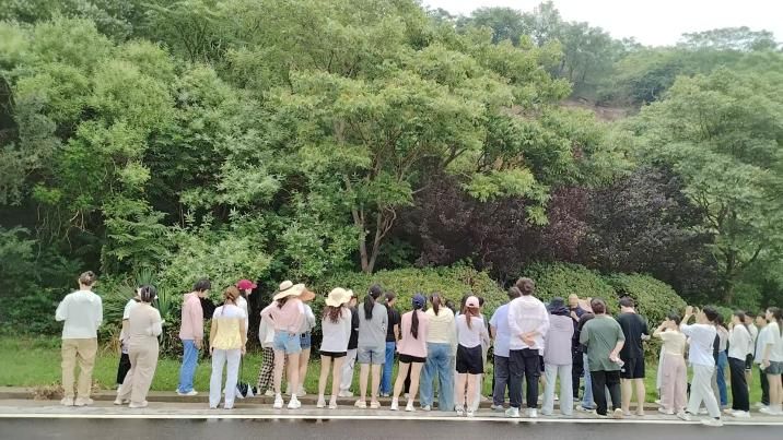 21点五龙