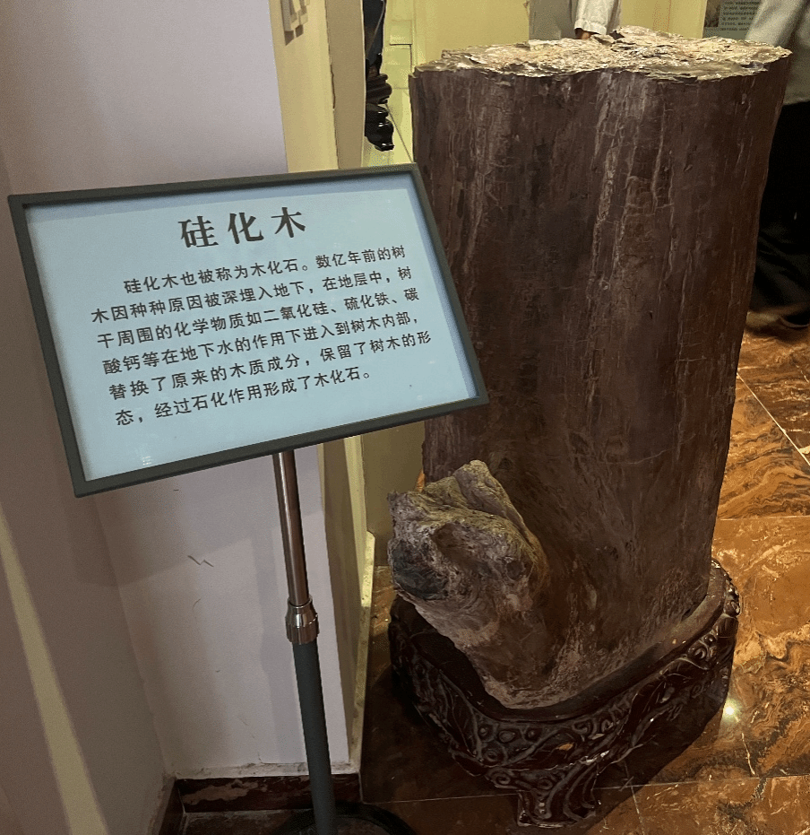 21点五龙